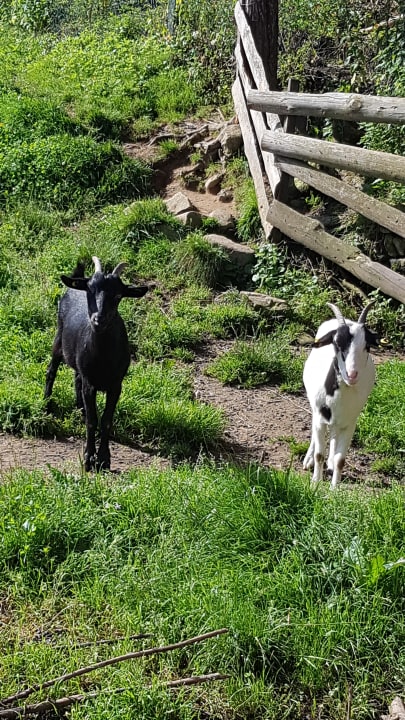 Sonstiges Ferienwohnungen Hugeseppehof