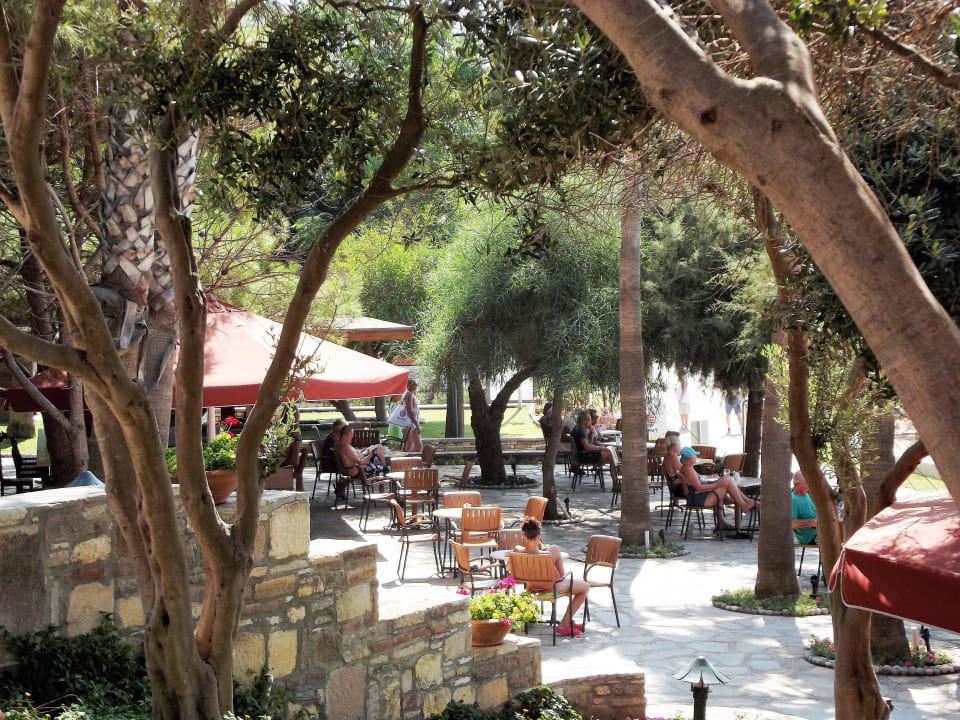 Strandbar Arum Barut Collection