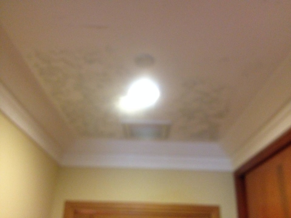 Flur Iberostar Selection Paraiso Maya Suites