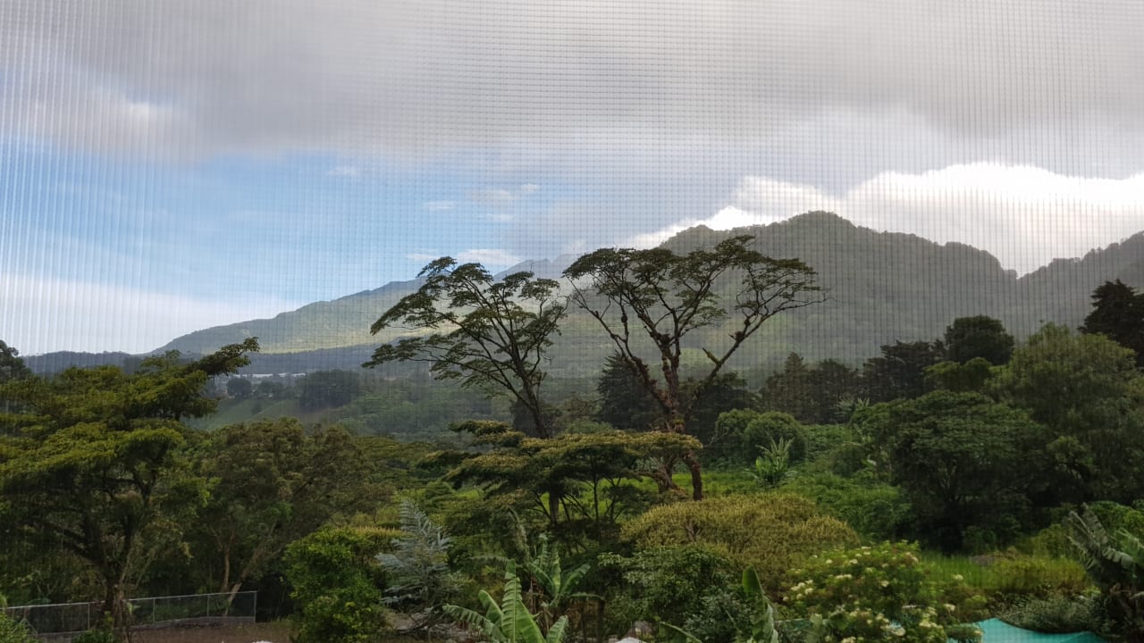 Ausblick Grand Decameron Panama, A Trademark All Inclusive Resort