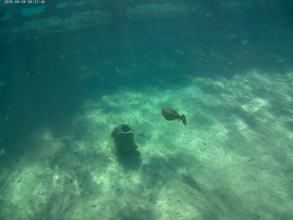 Außenansicht Sentido Mamlouk Palace Resort