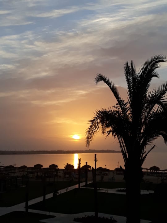 Ausblick Steigenberger Resort Ras Soma