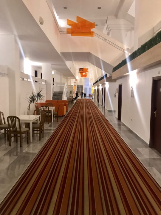 Lobby AluaSun Helios Beach