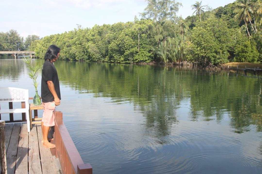 Mangrove Bungalow Mangrove Bungalow & Restaurant