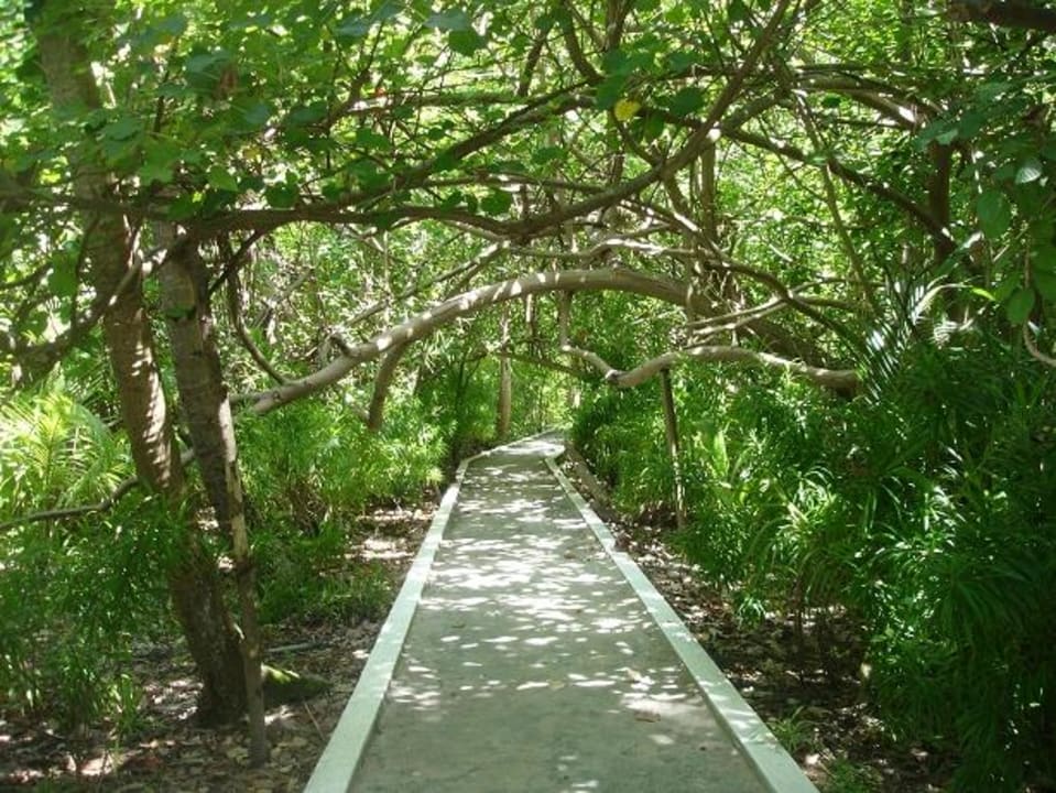 Inselweg - 15 Minuten um die Insel Biyadhoo Island Resort