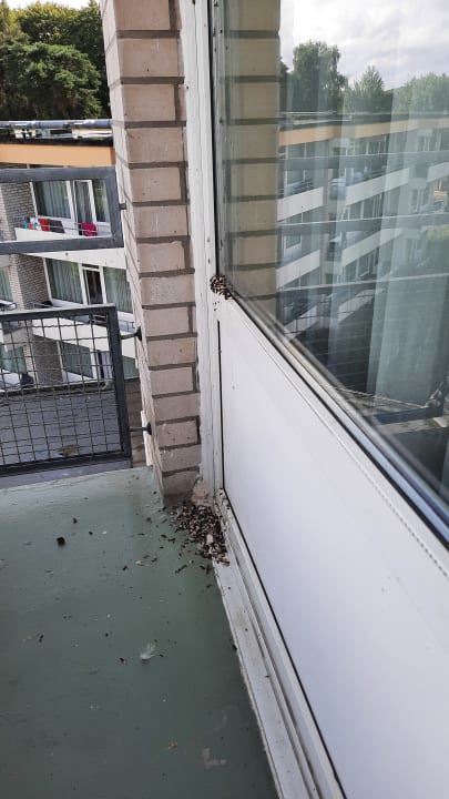 Außenansicht Strandhotel Weissenhäuser Strand