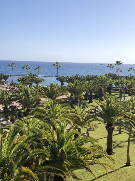 Gartenanlage Hotel Riu Palace Tenerife