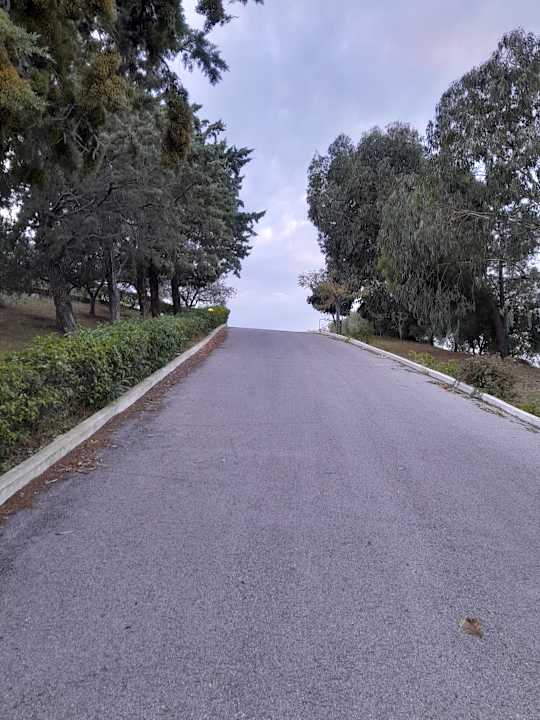 Gartenanlage Alexandros Palace