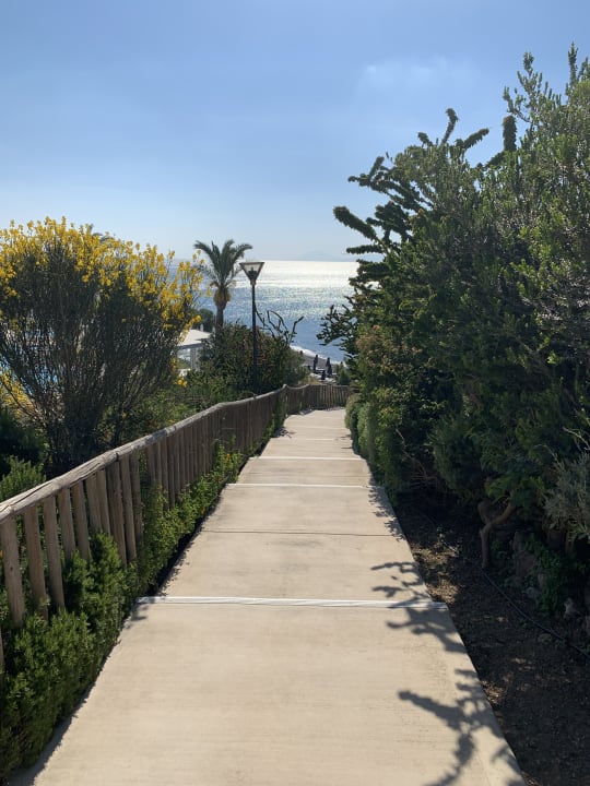 Ausblick Michelangelo Resort & Spa