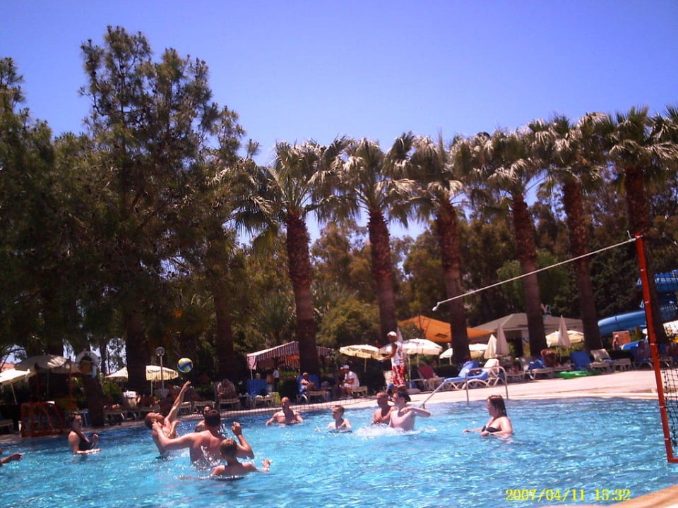 Volleyballspiel Asteria Collection Side