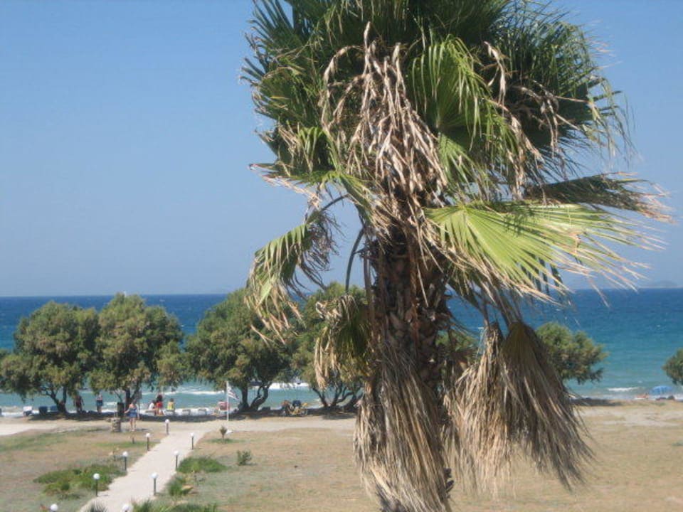 Ausblick vom Balkon zum Strand Costa Angela Seaside Resort