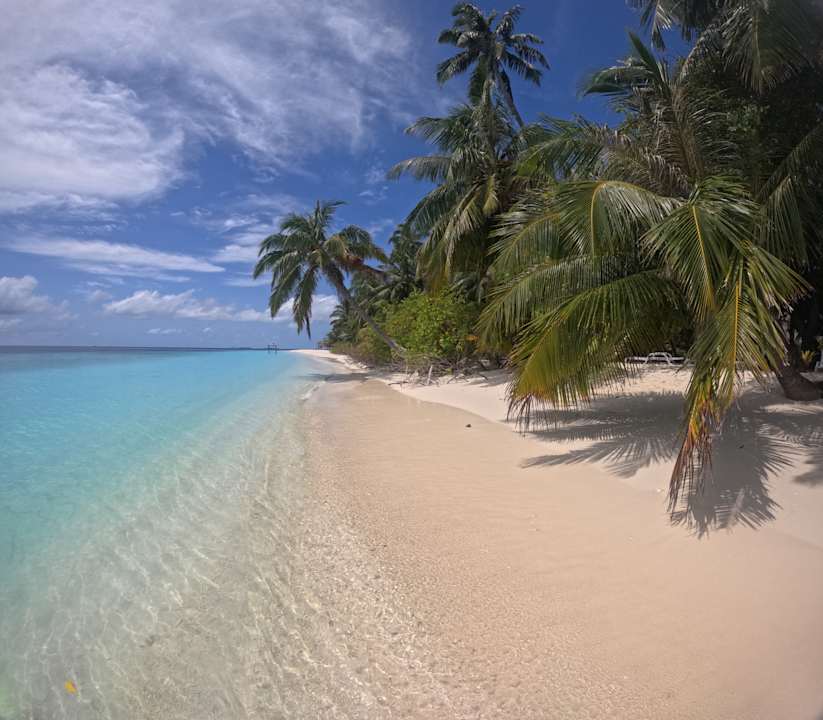 Strand Fihalhohi Maldives