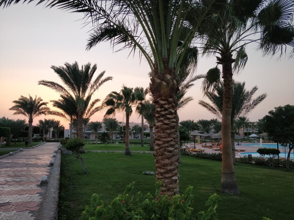 Gartenanlage Three Corners Sea Beach Resort