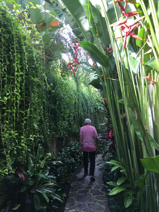 Gartenanlage Puri Sebali Resort