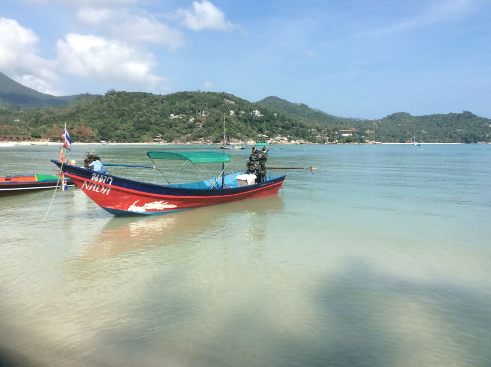 Ausblick Havana Beach Resort