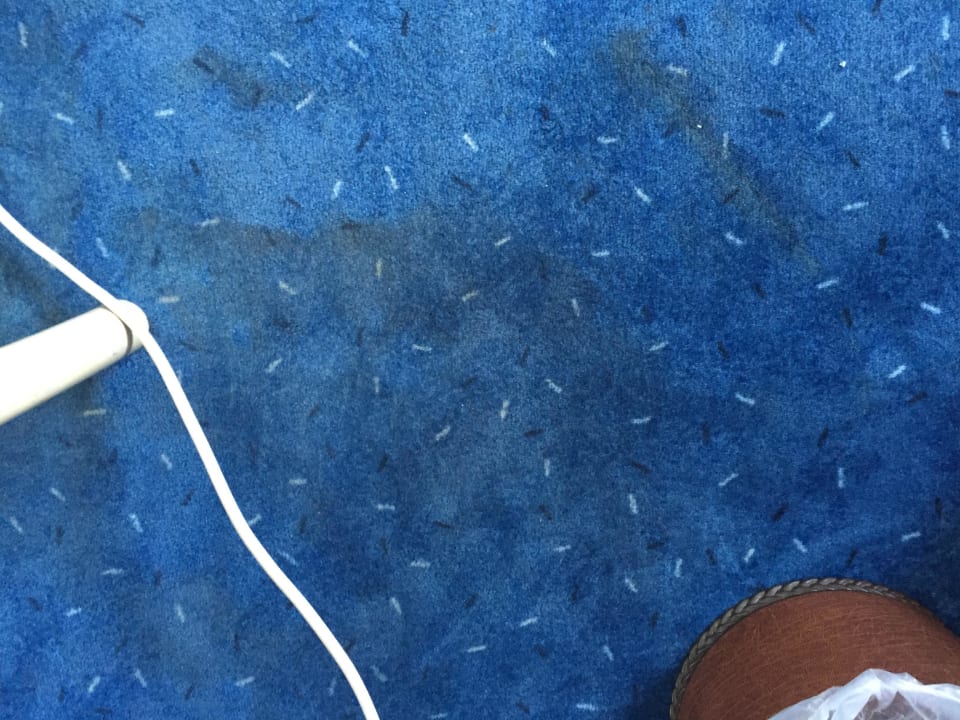 Teppich sieht aus wie hingeschissen Hotel Luisenhof