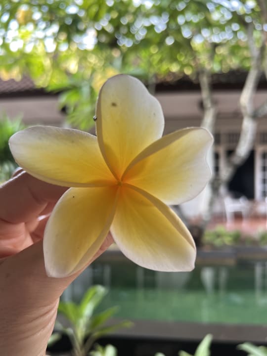 Sonstiges Little Pond Homestay