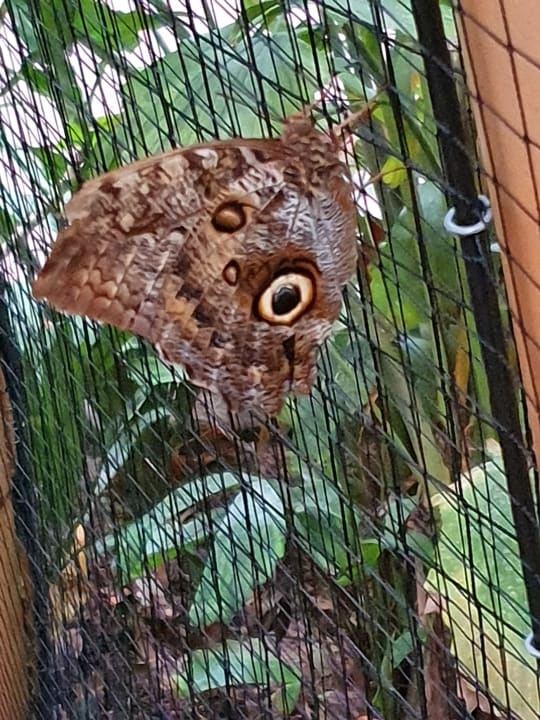 Sonstiges Tropical Islands Resort