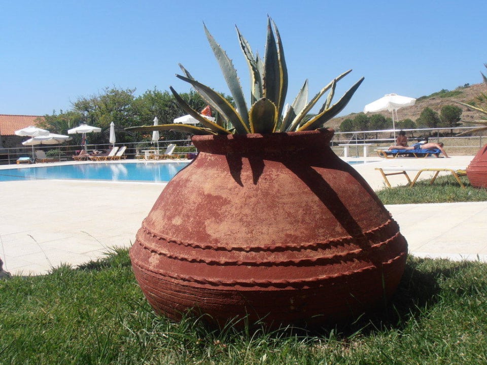 Hübsche Dekoration beim Pool Aphrodite Hotel