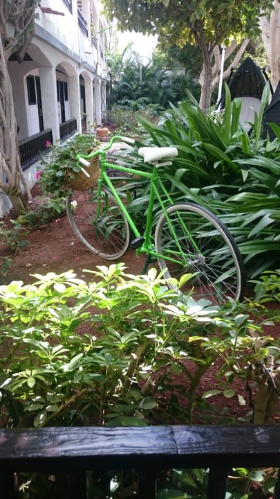 Gartenanlage Hotel Parque Tropical