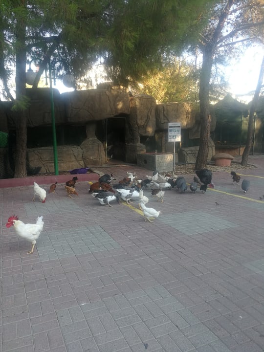 Gartenanlage VONRESORT Golden Beach