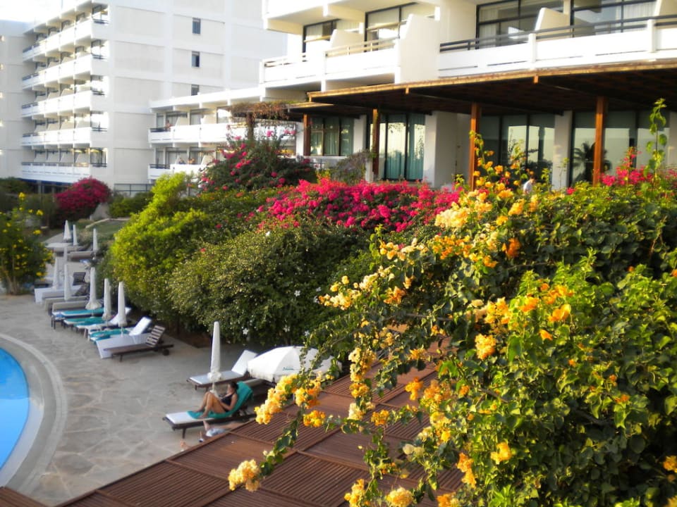 Poolanlage mit vielen Blumen Hotel Grecian Bay