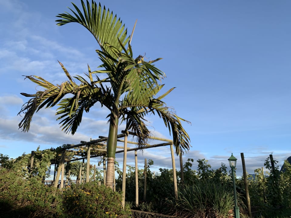 Gartenanlage Hotel Quinta do Furao