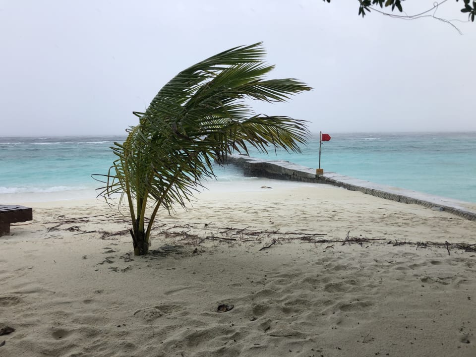 Strand Adaaran Select Meedhupparu Island Resort - Premium All Inclusive