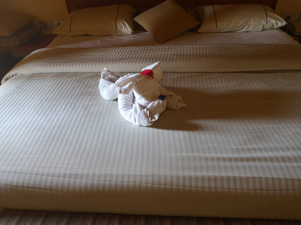 Zimmer Grand Waterworld Makadi & Family Star Makadi