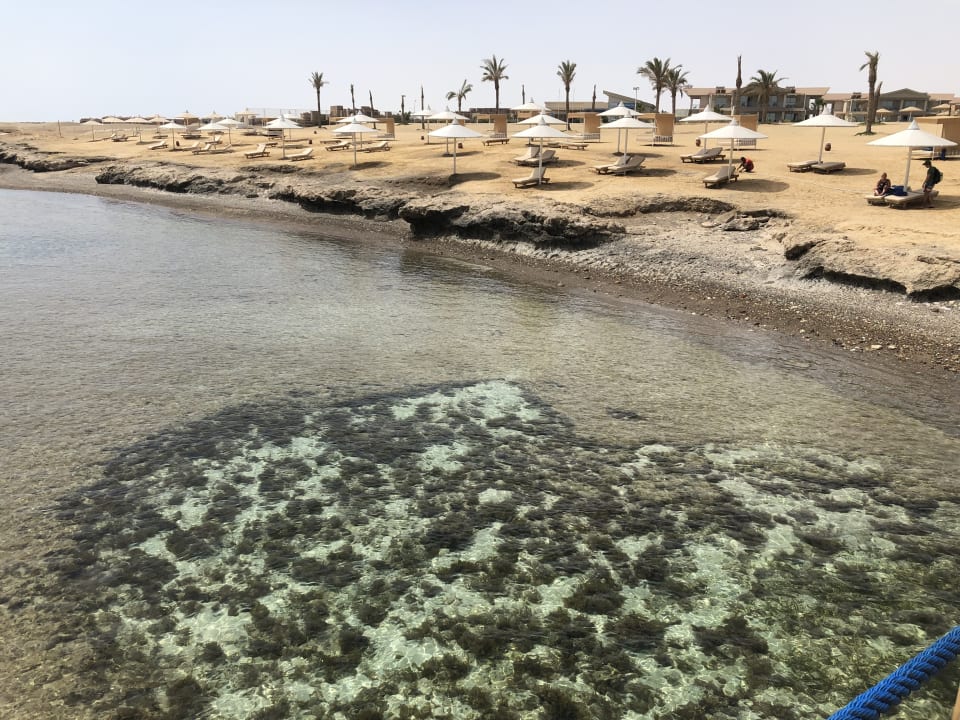 Strand Pickalbatros Sea World Resort - Marsa Alam