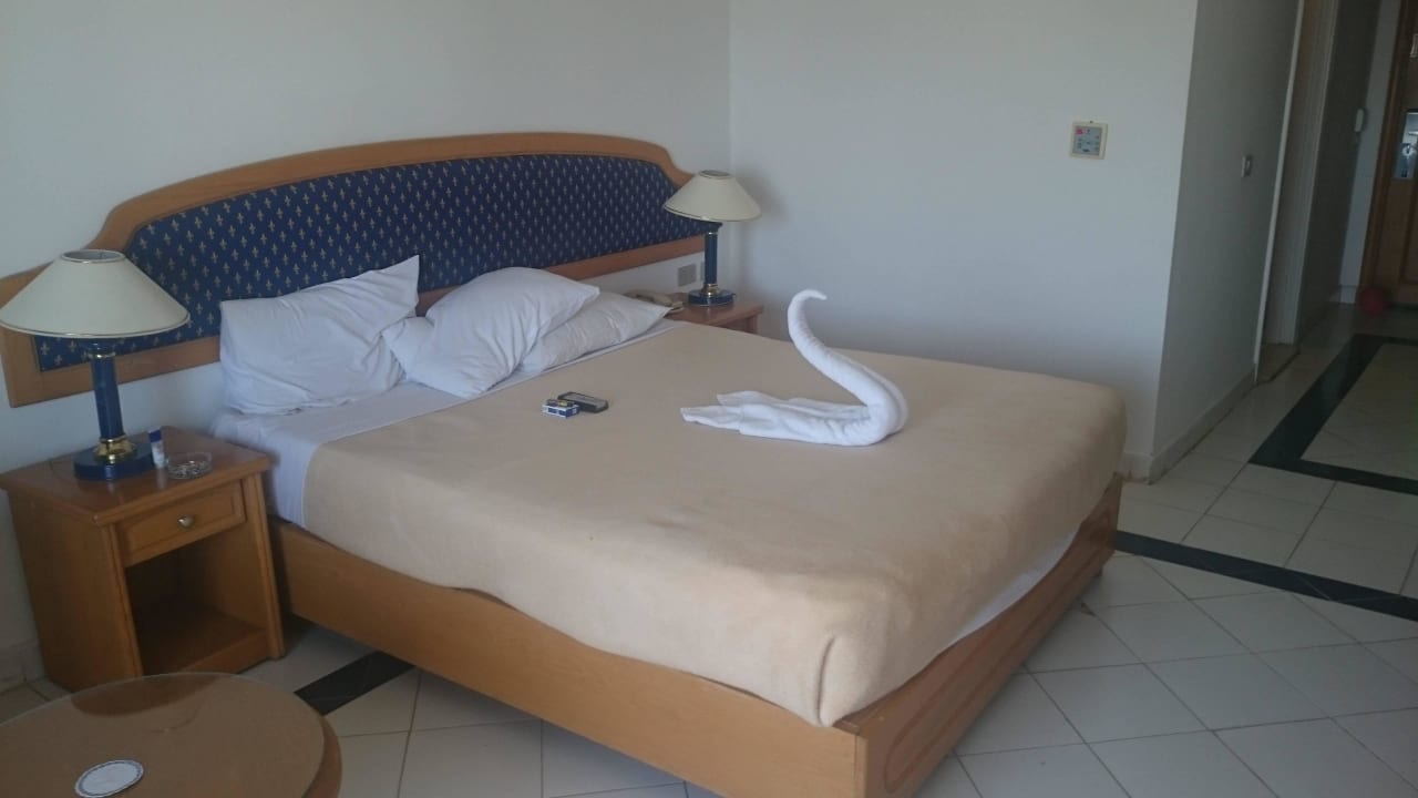 Jeden Tag gereinigt Desert Rose