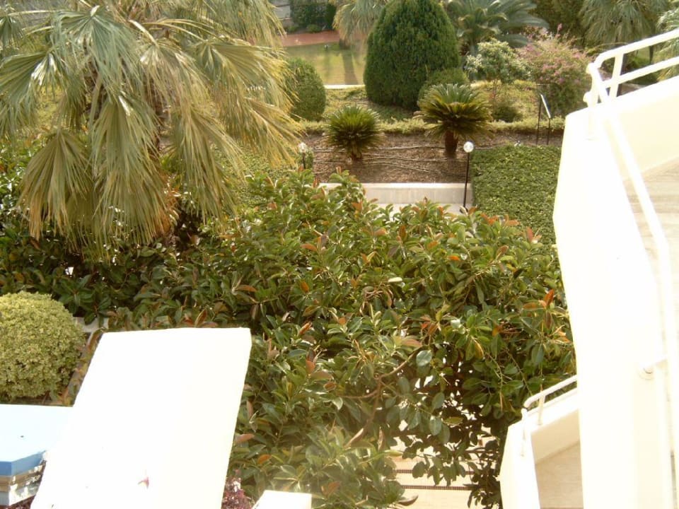 Blick auf die Grünanlagen Side Star Elegance