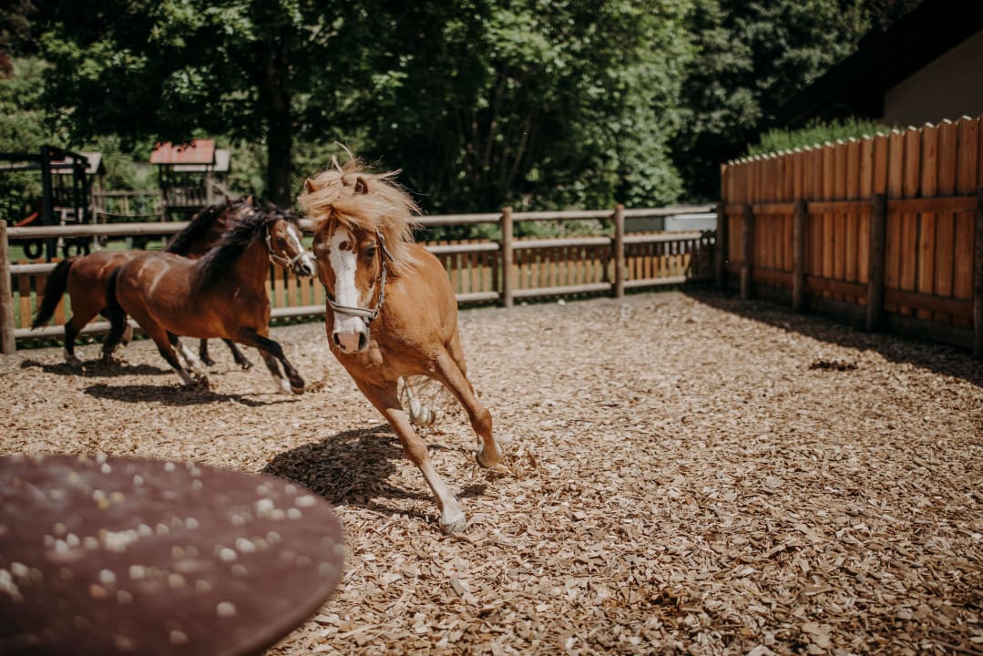 Sonstiges Hotel Ferienparadies Lerch