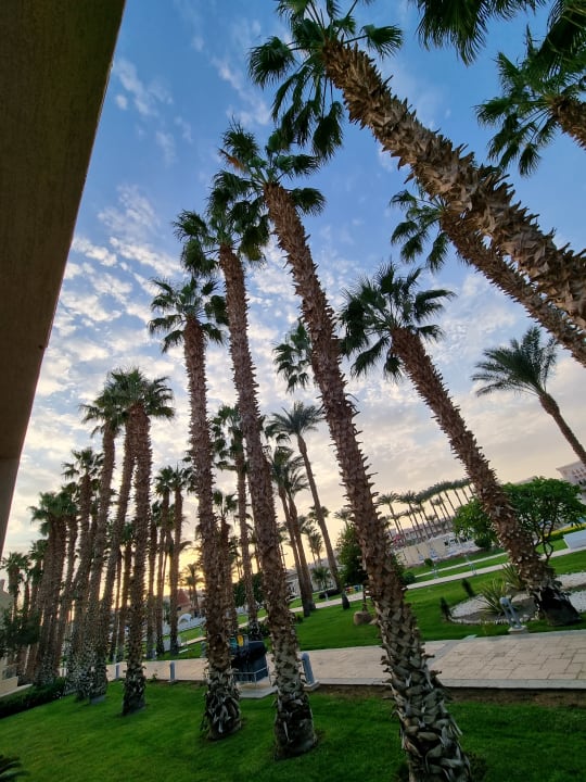 Gartenanlage Beach Albatros Resort
