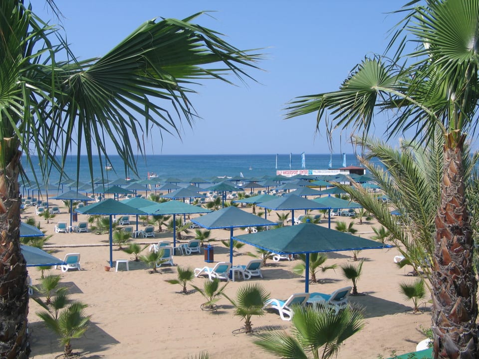 Strand Paloma Oceana
