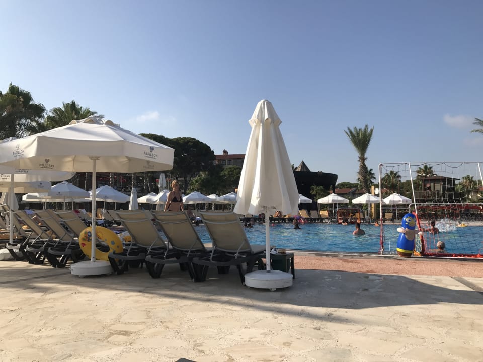 Pool Papillon Belvil