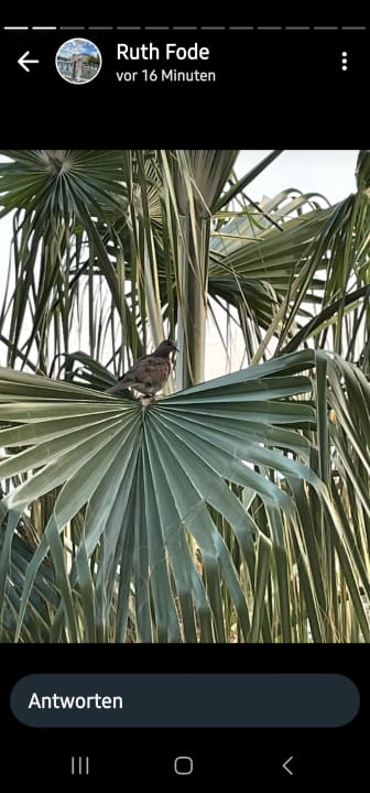 Außenansicht Side Mare Resort & Spa