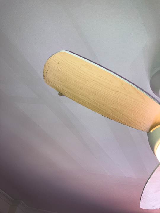 Zimmer Duque Nest Hostel