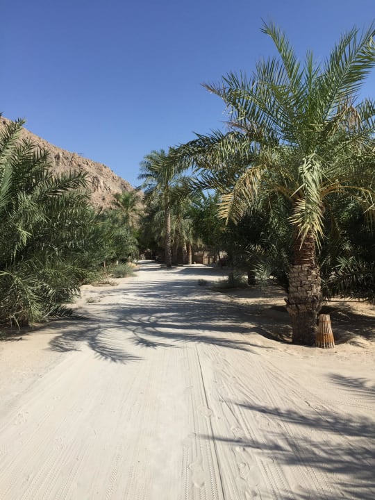 Weg zu den Villen Six Senses Spa At Zighy Bay