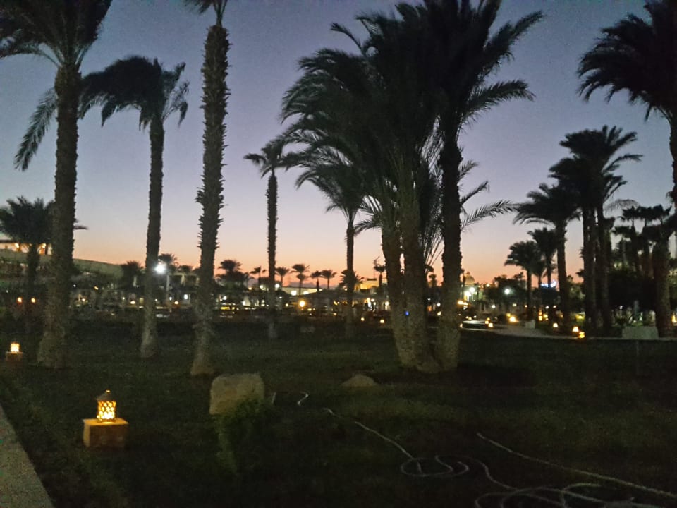 Die Sonne geht unter  Beach Albatros Resort