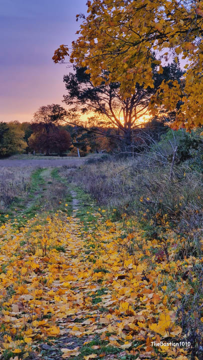 Gartenanlage Hotel Norddeutscher Hof