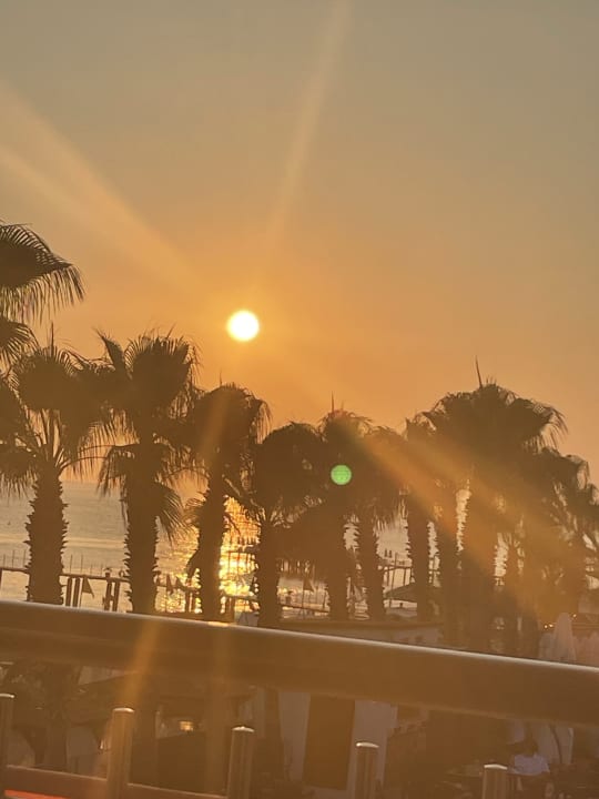Ausblick Hotel Botanik Platinum