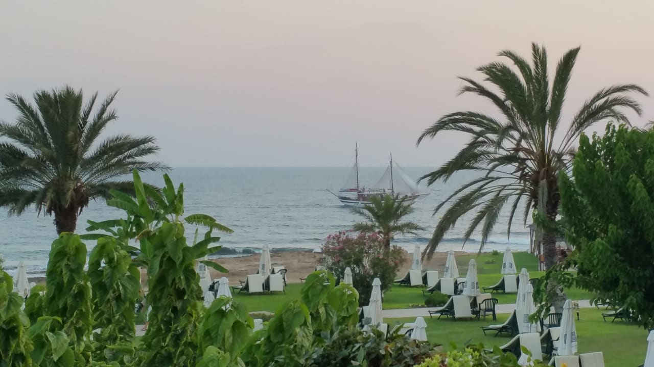 Ausblick Constantinou Bros Athena Royal Beach Hotel