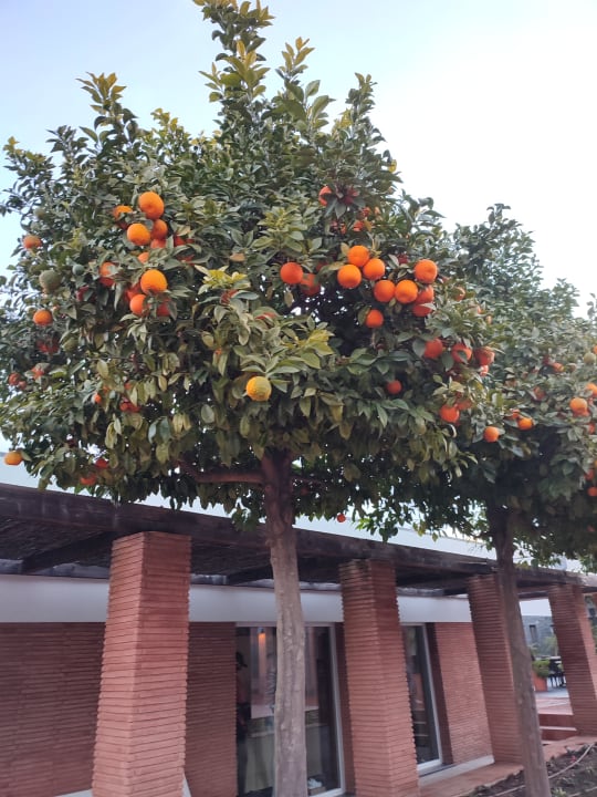 Gartenanlage ROBINSON QUINTA DA RIA