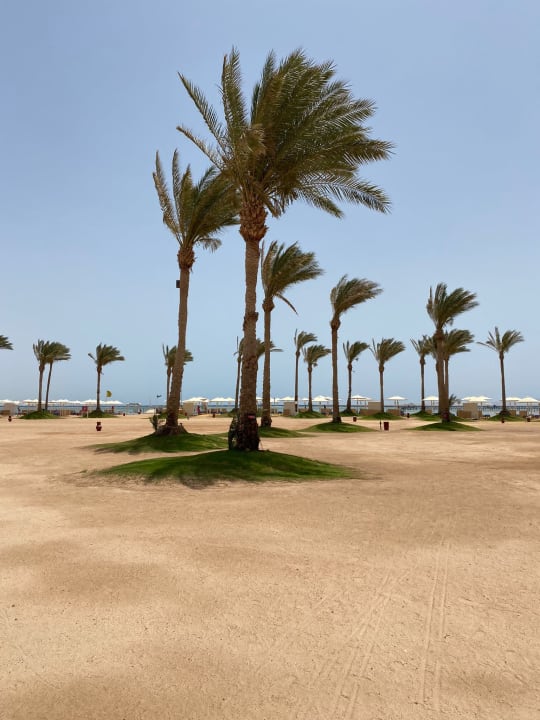 Strand Pickalbatros Laguna Vista Hotel