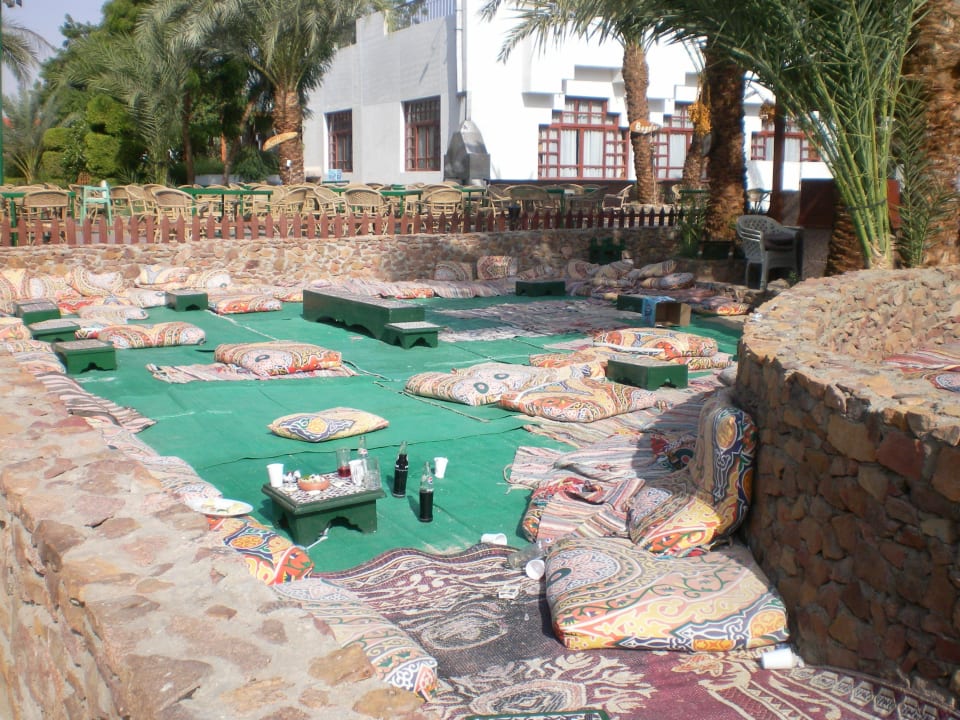 Shisha und Tee aber später Menaville Safaga