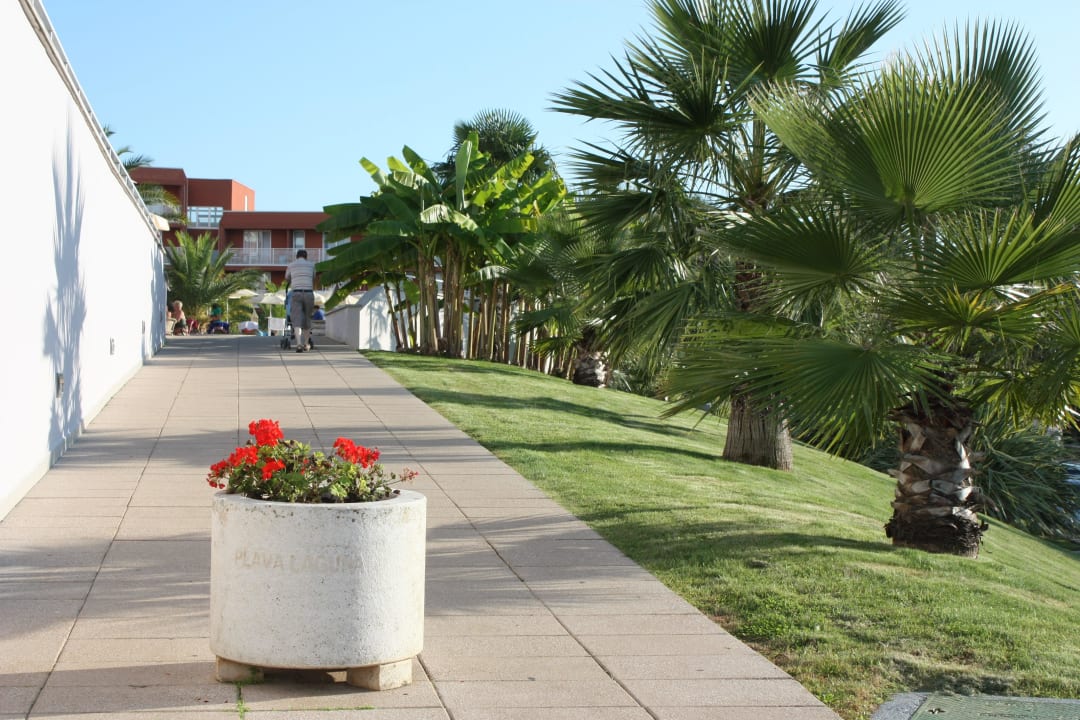 Weg zum Hotel Hotel Albatros Plava Laguna