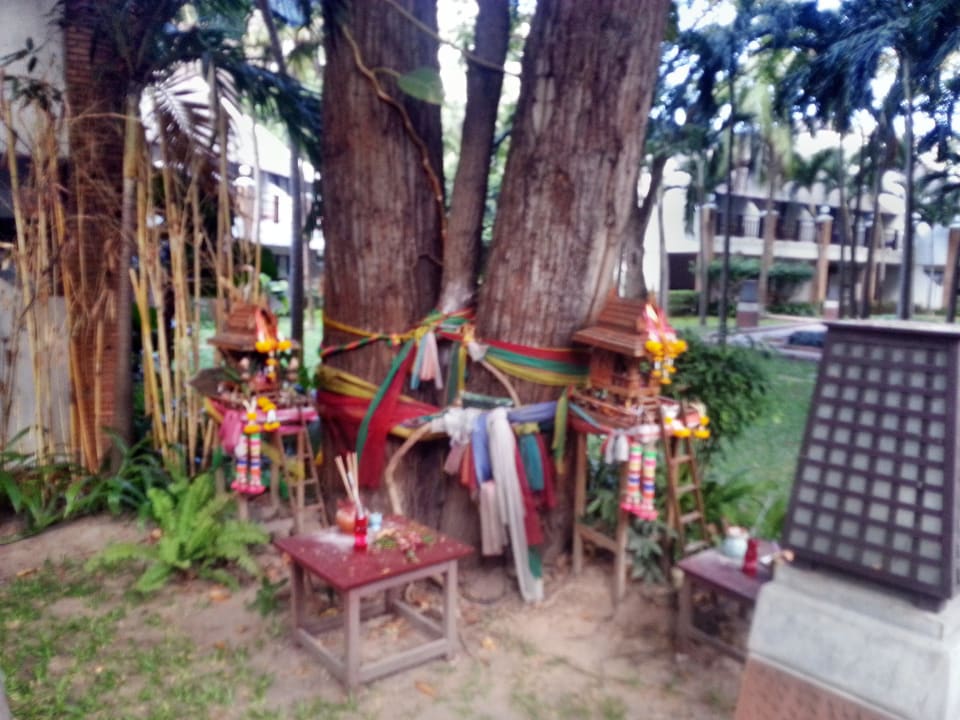 Zum beten,wer es braucht  Woodlands Hotel & Resort