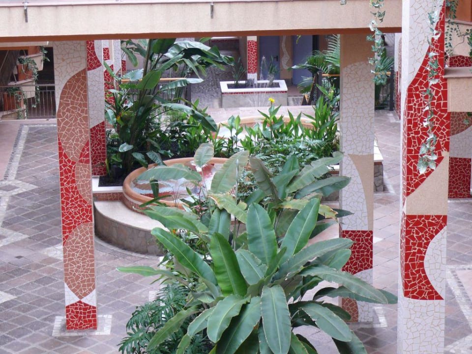 Hotel Hotel Riu Buenavista