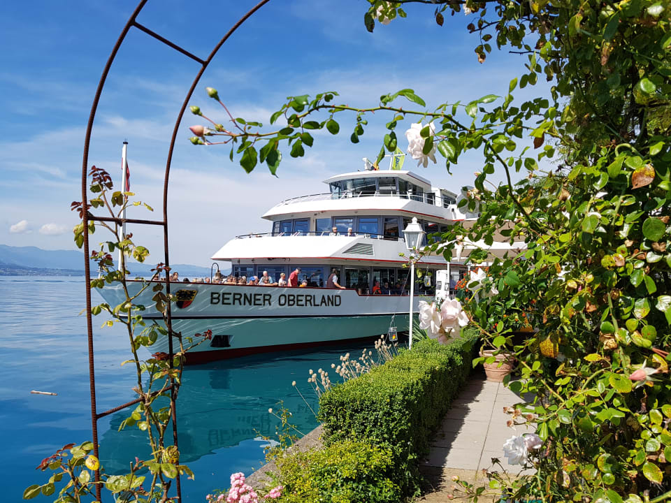 Ausblick Beatus Wellness- & Spa-Hotel